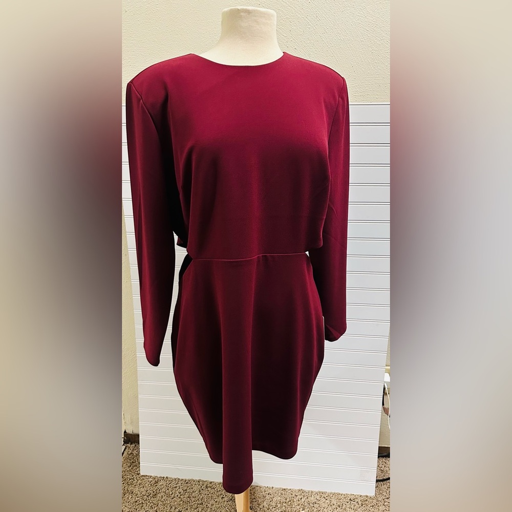 Express Deep Red Long Sleeve Dress